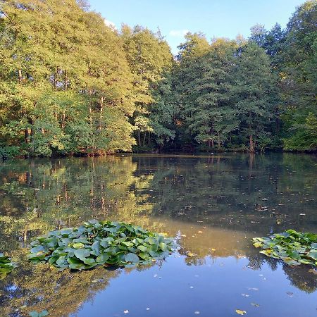 Ferienwohnung Am Waldsee Mit Schwimmbad Gernsbach Kültér fotó