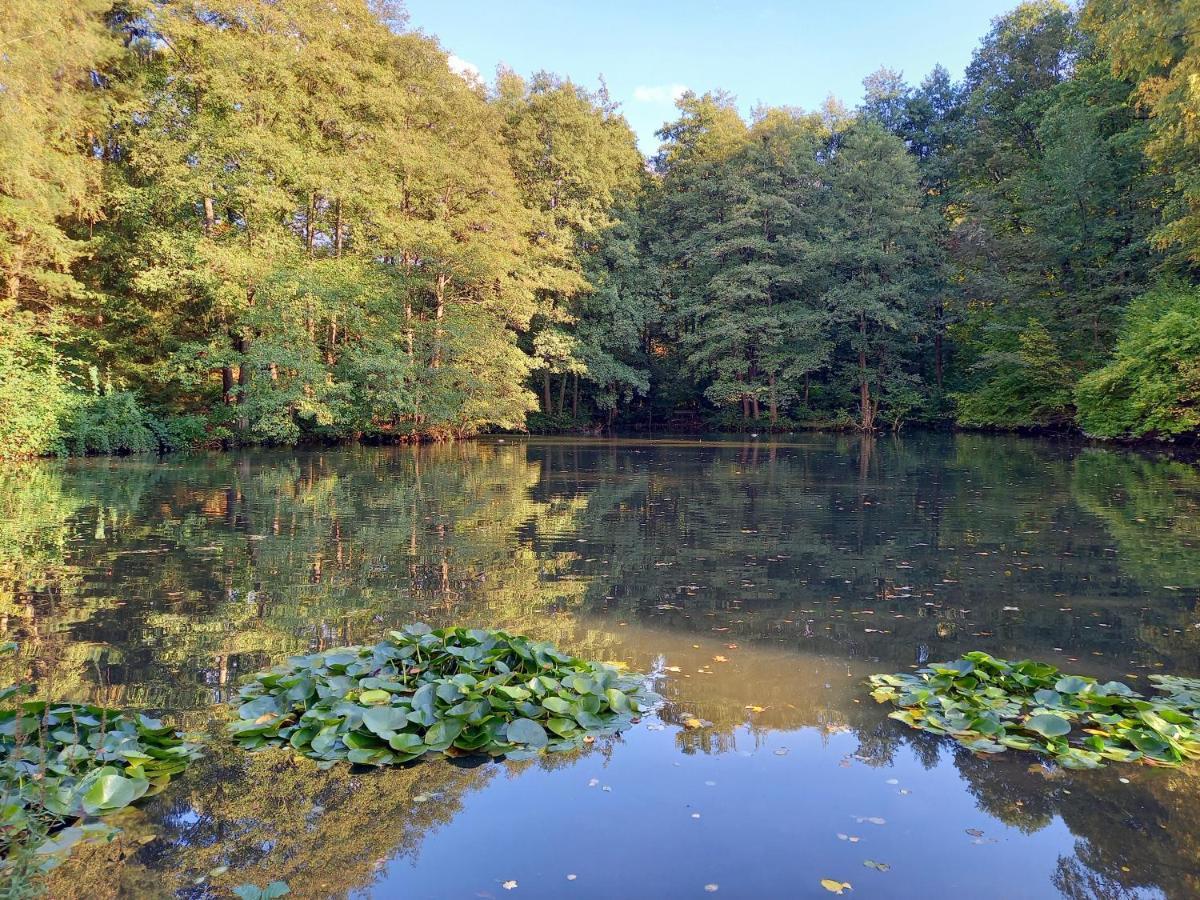 Ferienwohnung Am Waldsee Mit Schwimmbad Gernsbach Kültér fotó