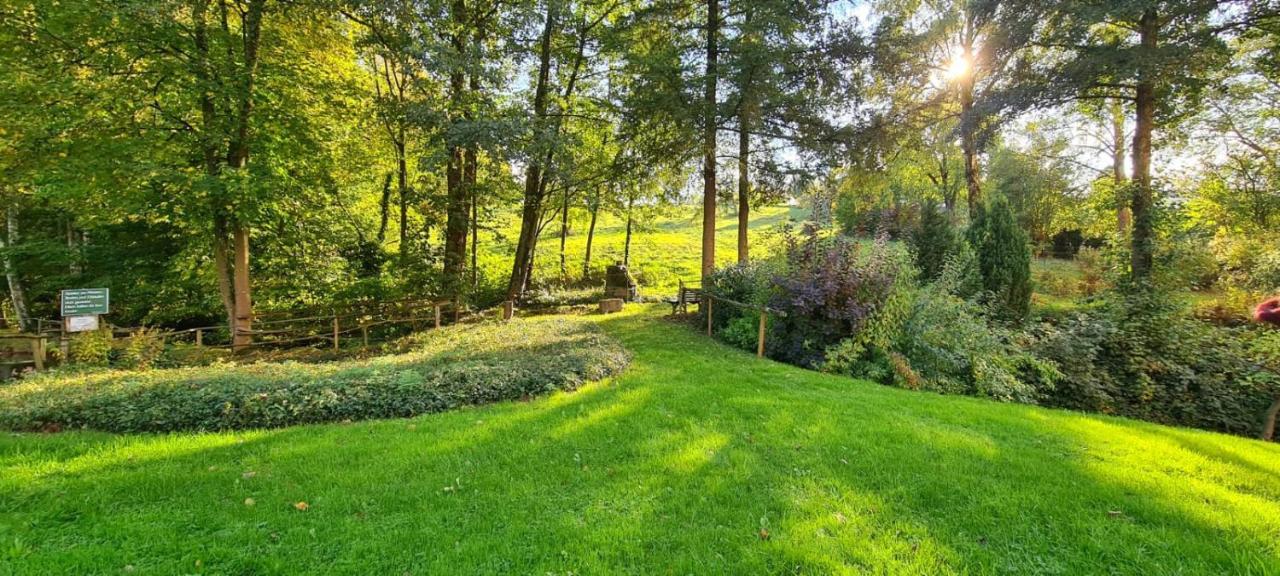 Ferienwohnung Am Waldsee Mit Schwimmbad Gernsbach Kültér fotó