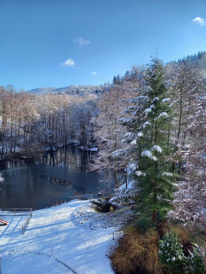 Ferienwohnung Am Waldsee Mit Schwimmbad Gernsbach Kültér fotó